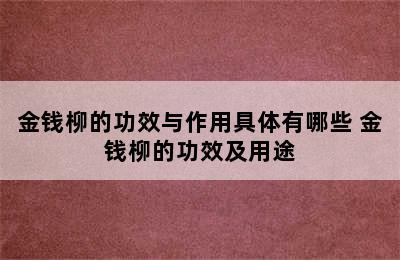 金钱柳的功效与作用具体有哪些 金钱柳的功效及用途